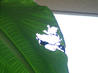 508071.jpg